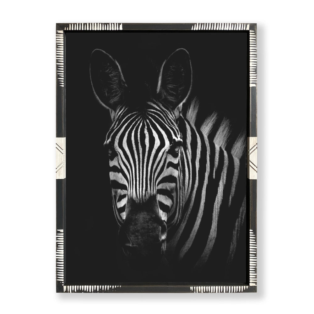 Safari Zebra