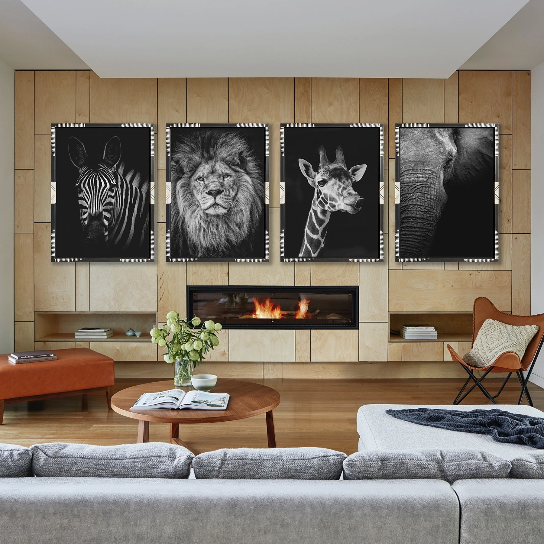 Colección Safari