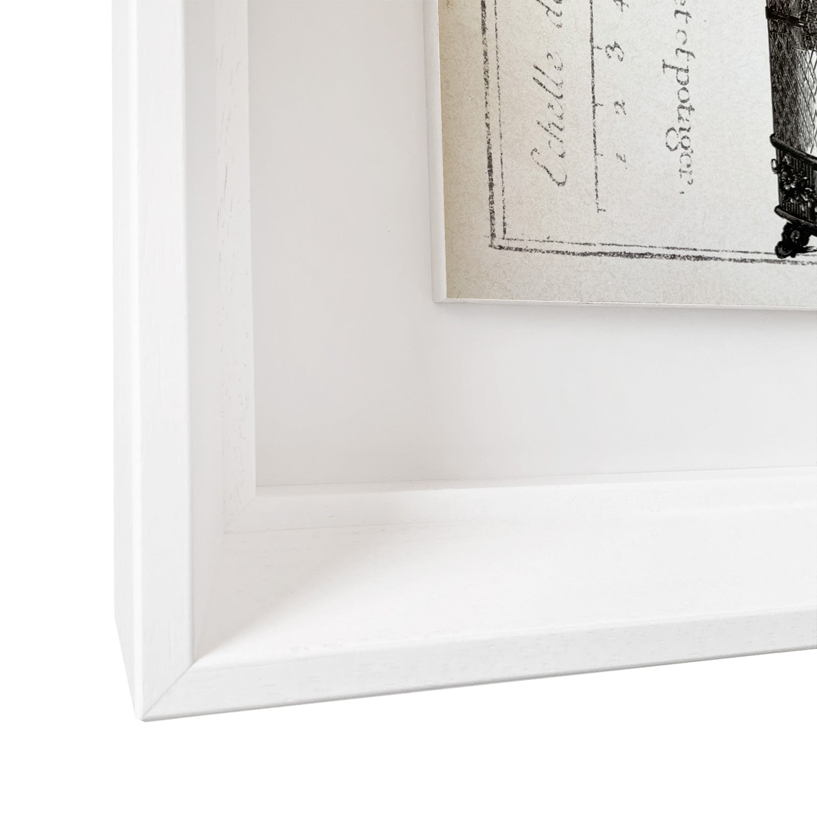 Colección La Realeza