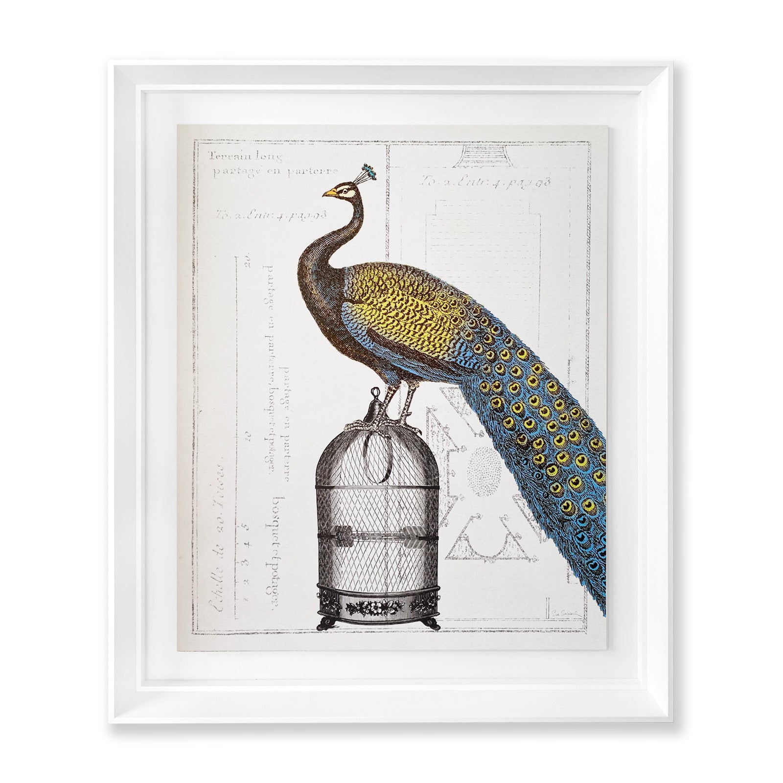 Colección La Realeza