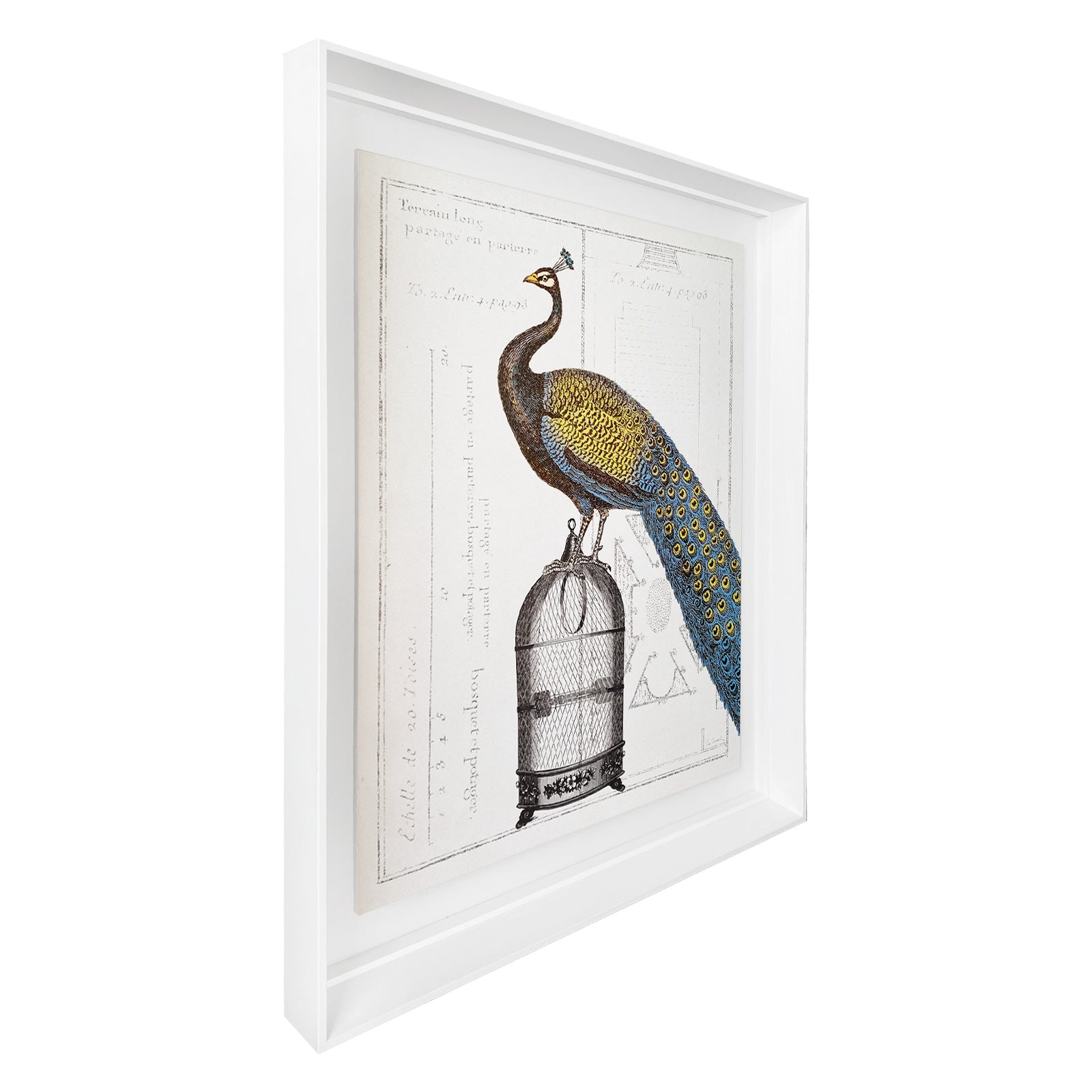 Colección La Realeza