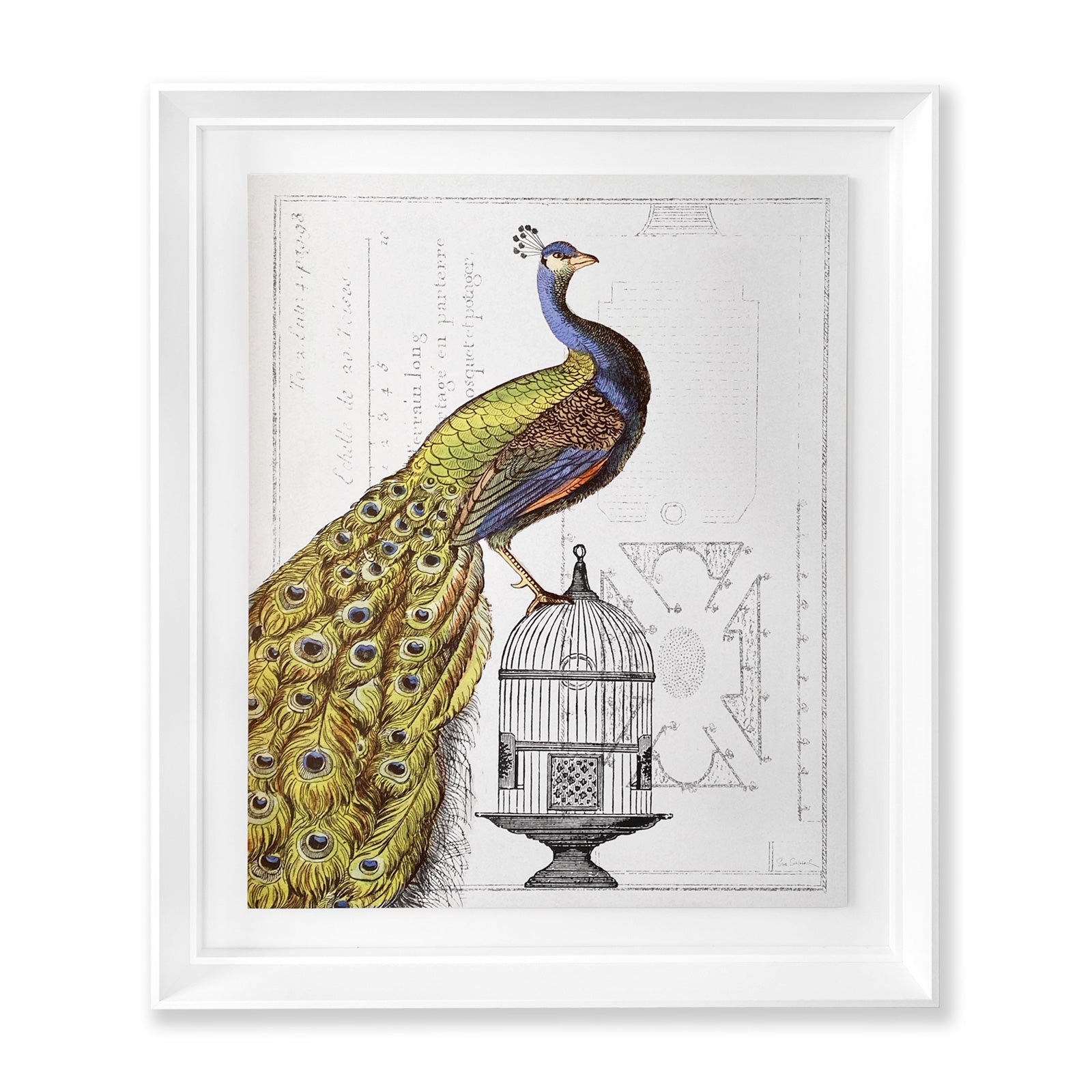 Colección La Realeza