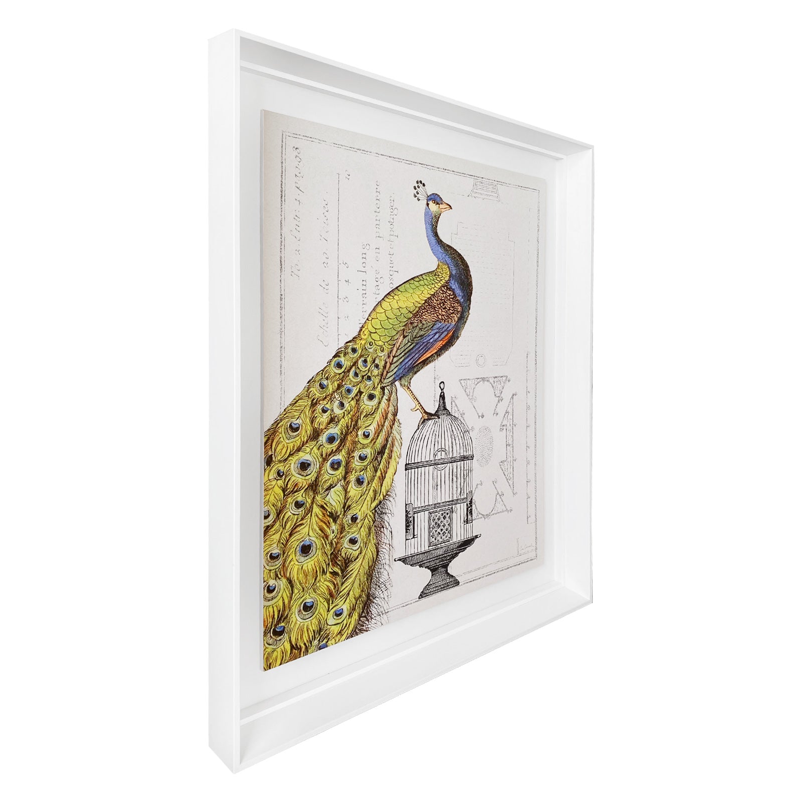 Colección La Realeza