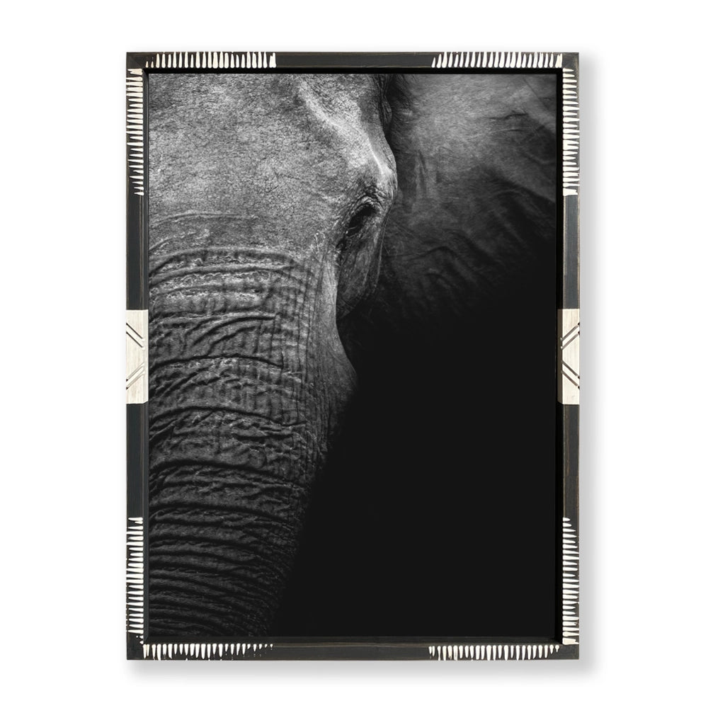Safari Elefante