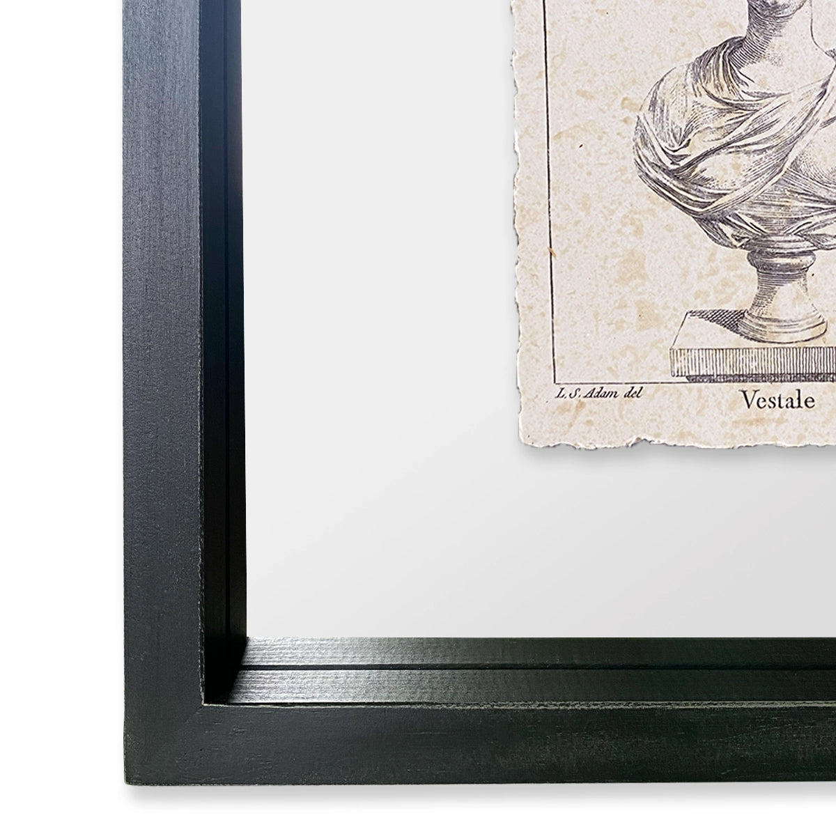 Ilustres Sabine & Vestale