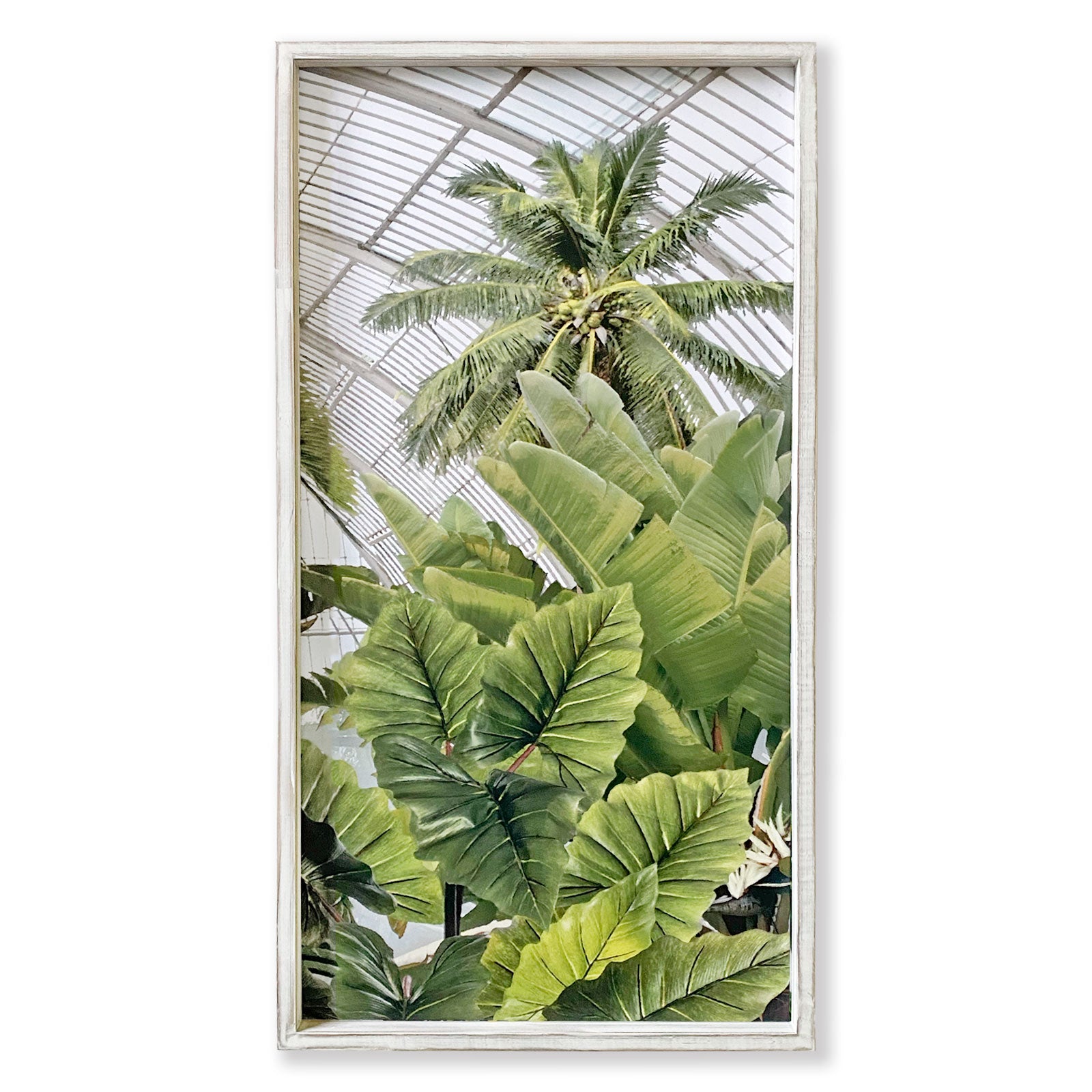 Greenhouse Collection