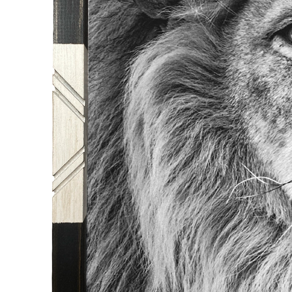 Safari León