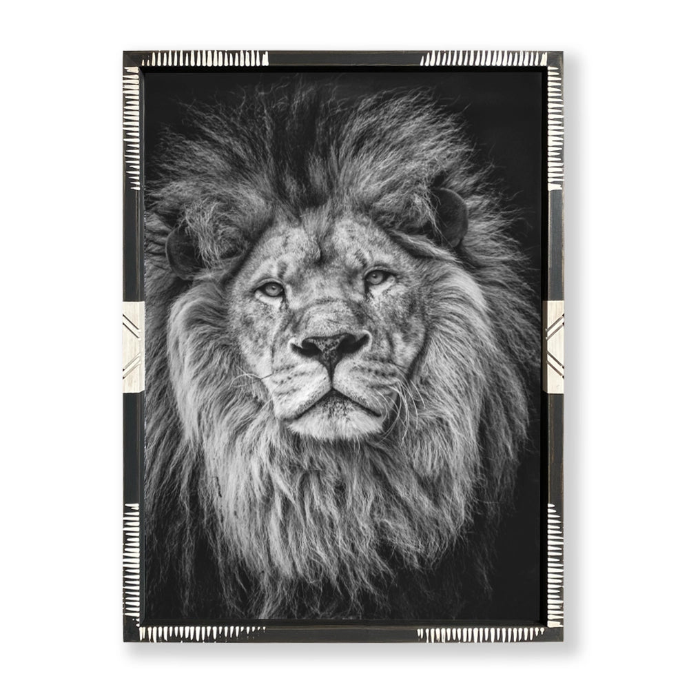 Colección Safari