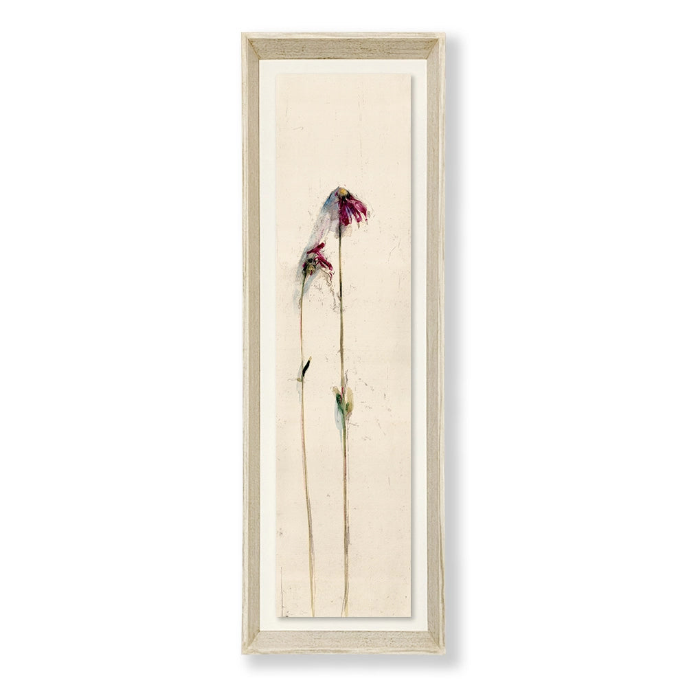 Petals Collection