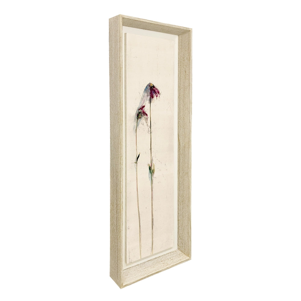 Petals Collection