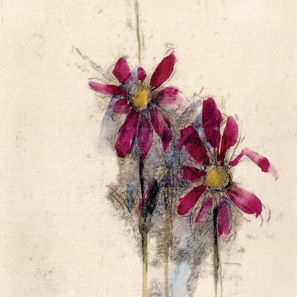 Petals Collection