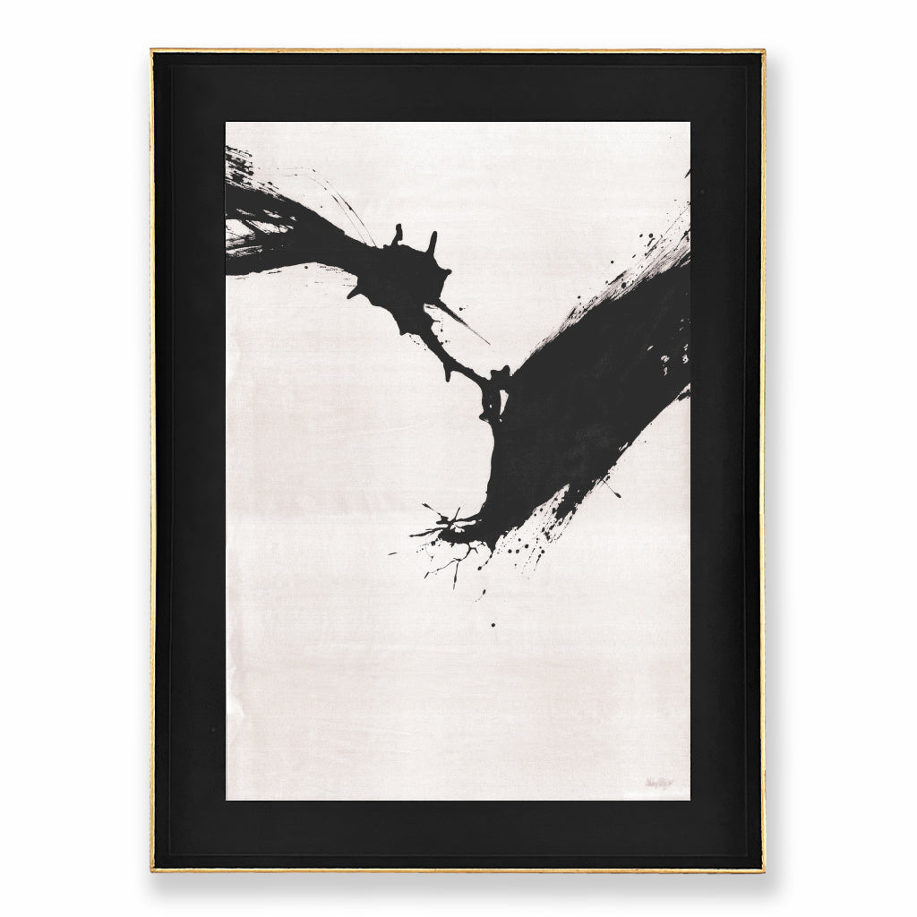 Colección Spontaneous