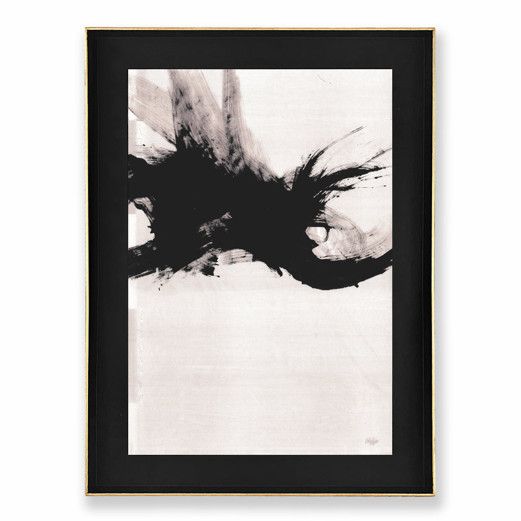 Colección Spontaneous