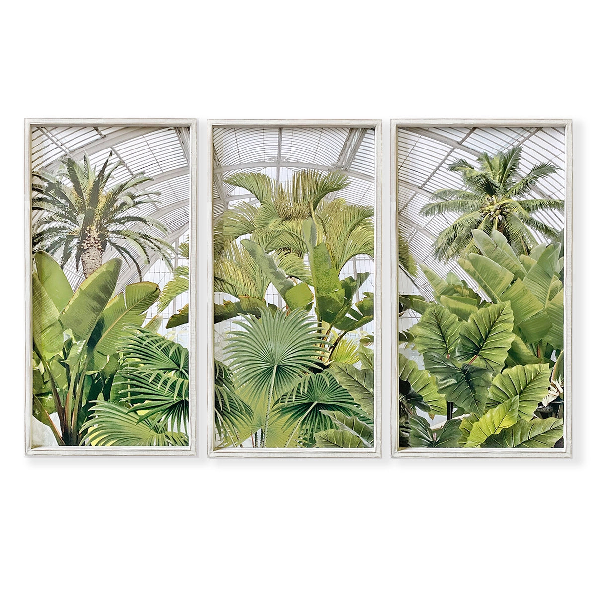 Greenhouse Collection