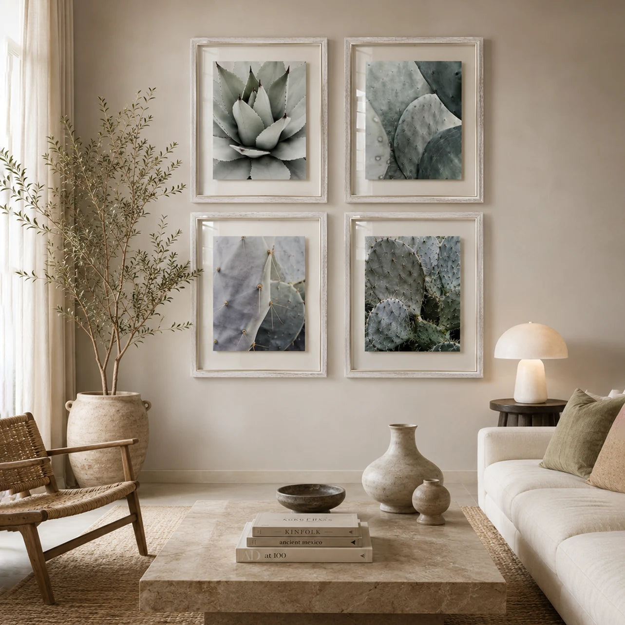 Colección Cactus