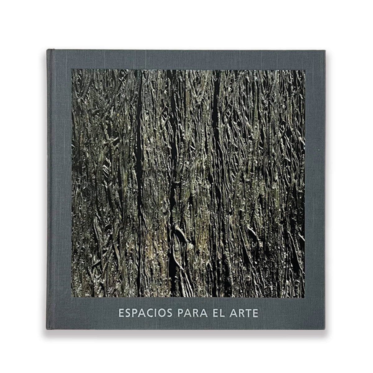 Espacios Para el Arte